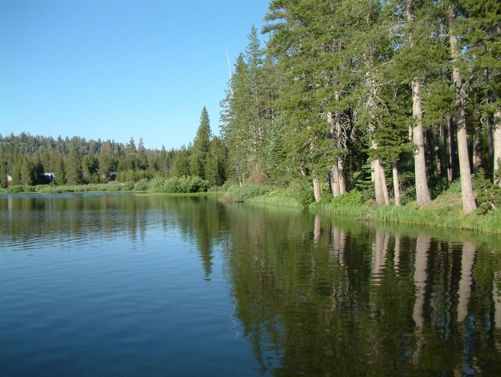 Nyack Towing Emigrant Gap CA 95715 5303898211 Towing